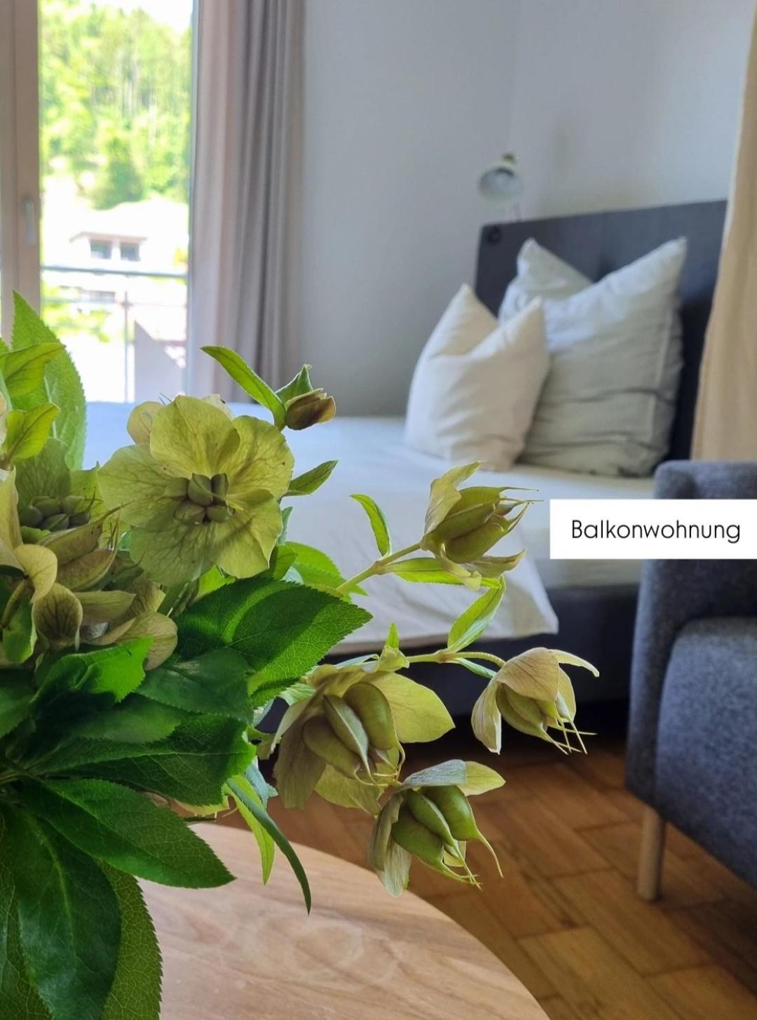 Ferienwohnung Tostner Burgblick Фельдкірш Екстер'єр фото